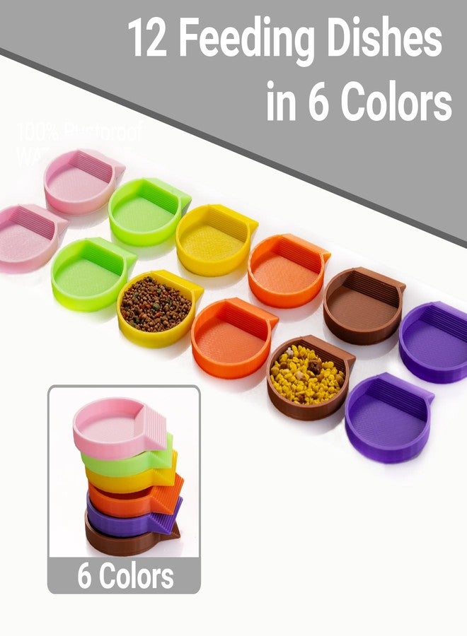 HERPDEN 12-Pack Feeding Dish for Invertebrates - Feeder Bowls for Dubia Roaches, Isopods, Springtails, Superworms, Small Insects & More - Mini Bowls for Reptile Food & Supplements - Image 5